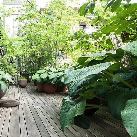 Szálloda Stout & Co. 3*