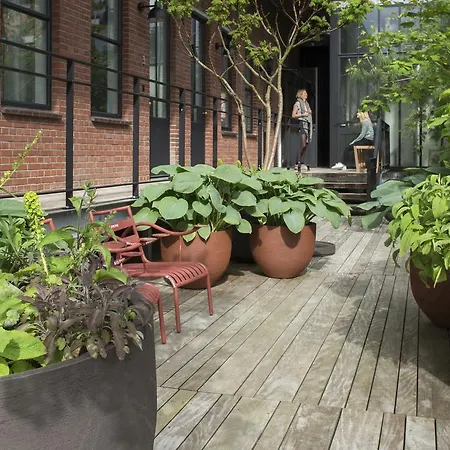 Stout & Co. Szálloda Amszterdam