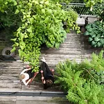 Ξενοδοχείο Stout & Co.