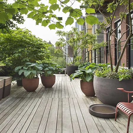 Stout & Co. אמסטרדם