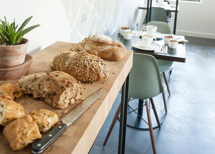 Stout & Co. فندق 3*