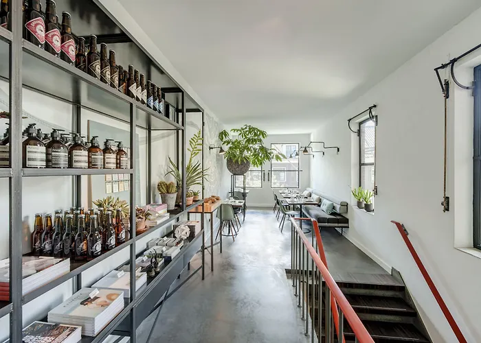 Stout & Co. Amsterdam